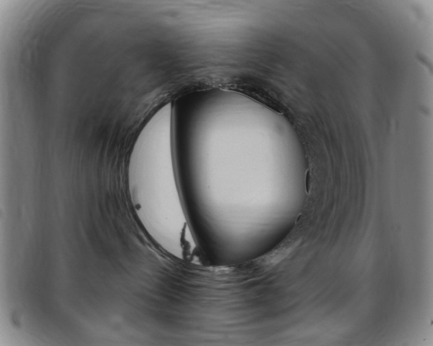 X0000097830288200803140835