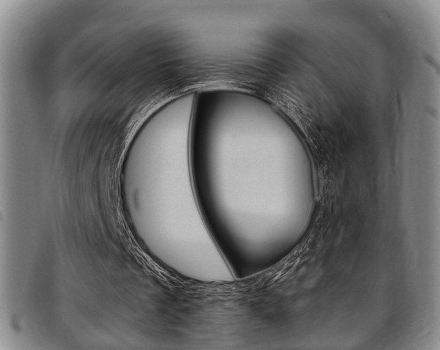 X0000097830289200803140834