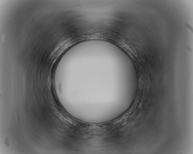 X0000097830290200803140834