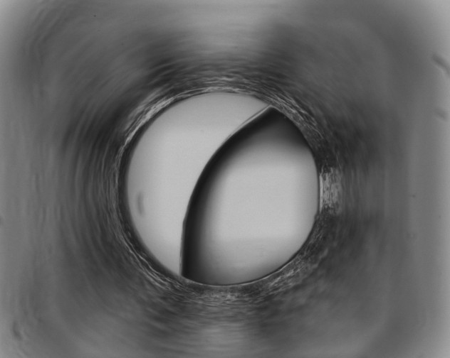 X0000097830291200803140834
