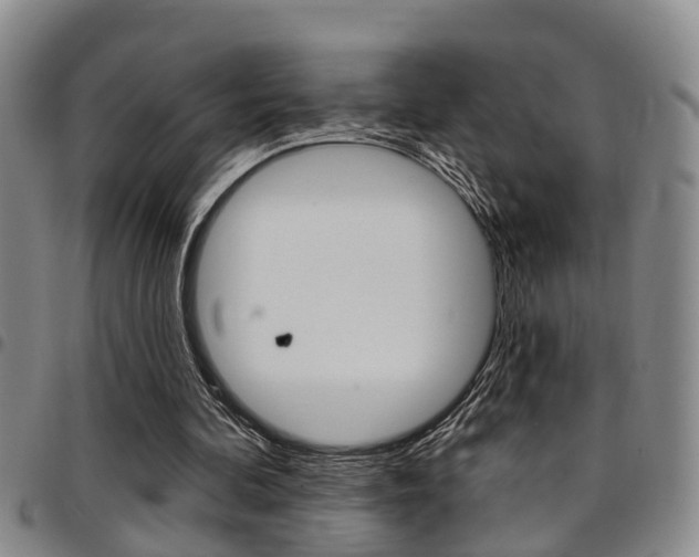 X0000097830292200803140834