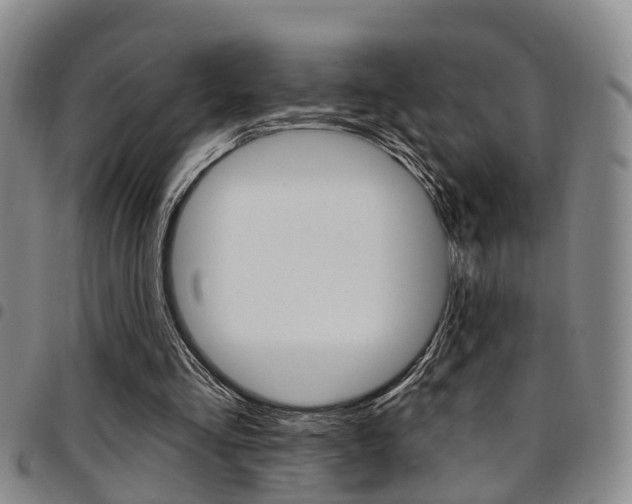 X0000097830293200803140834