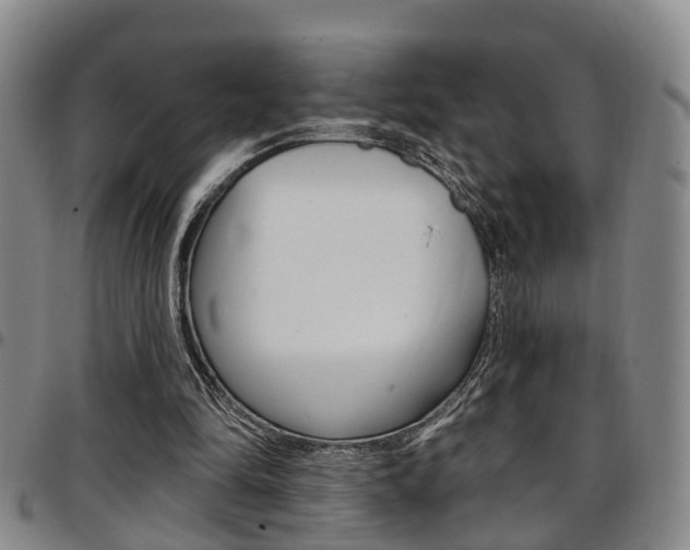 X0000097830294200803140834