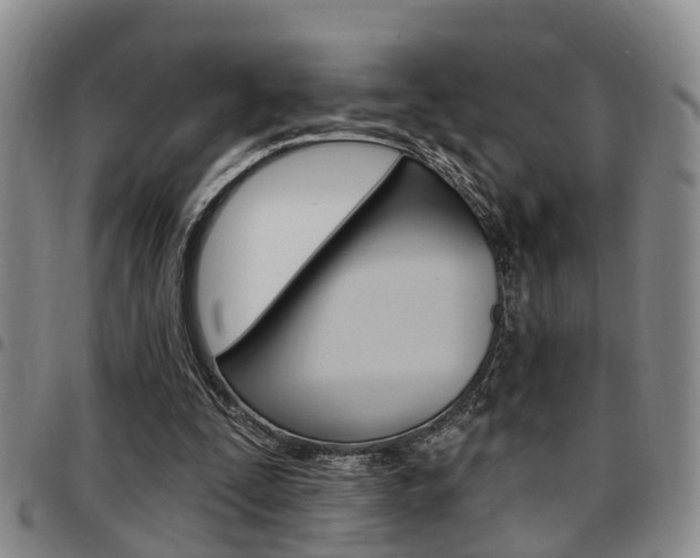 X0000097830295200803140834