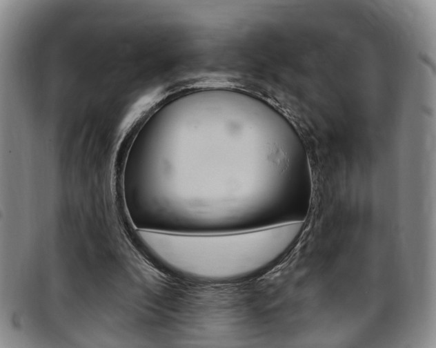 X0000097830296200803140834