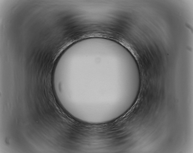 X0000097830297200803140834