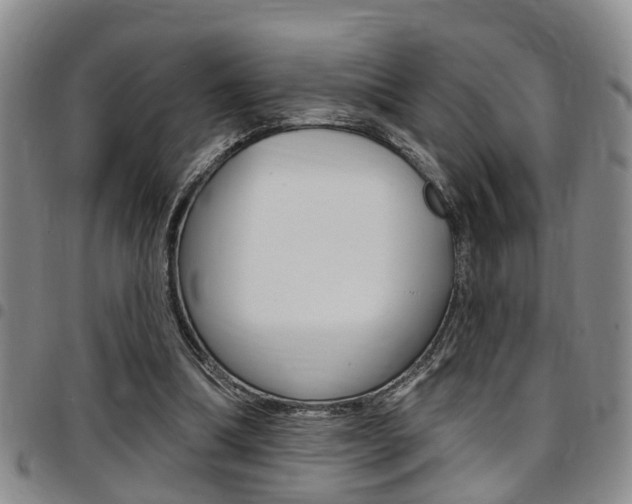 X0000097830298200803140834