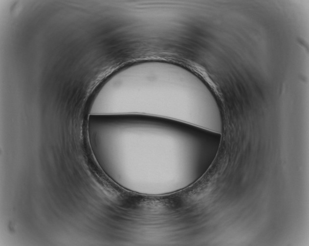 X0000097830299200803140834