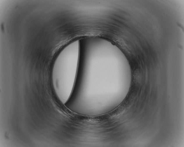 X0000097830303200803140834