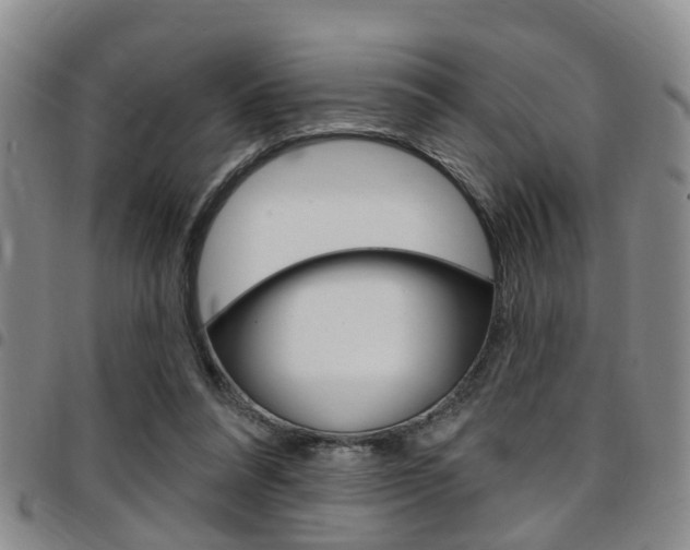X0000097830304200803140834