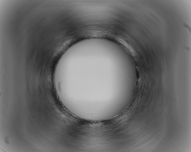 X0000097830306200803140834