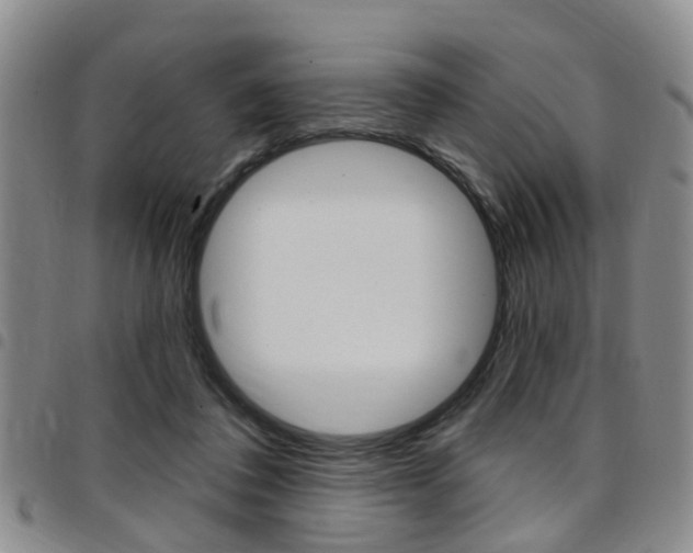 X0000097830308200803140834