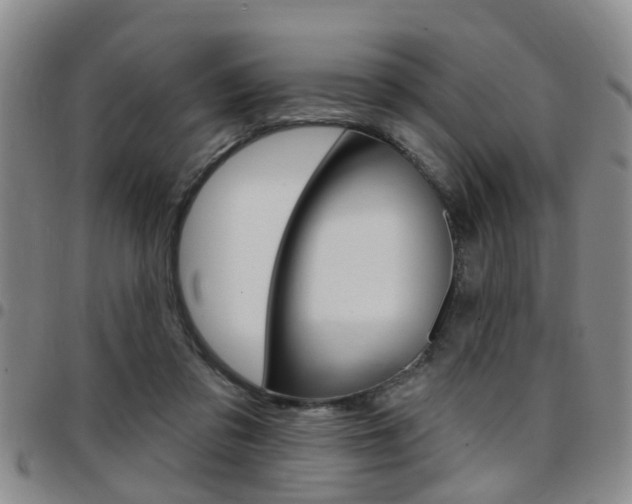 X0000097830309200803140834