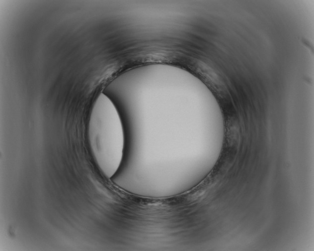 X0000097830310200803140834