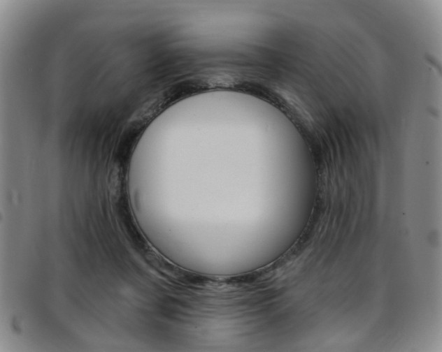 X0000097830311200803140834