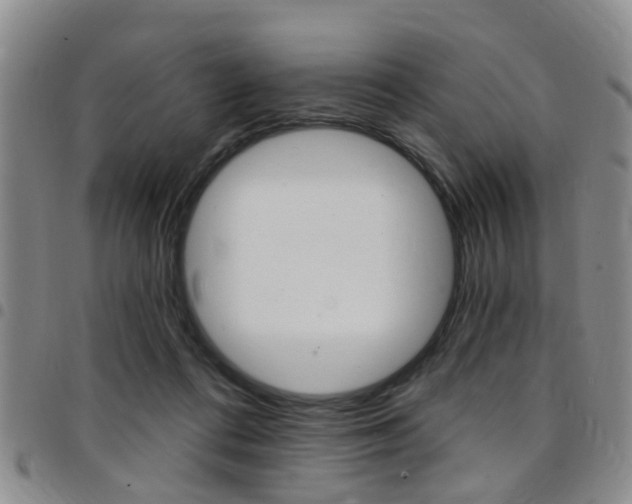 X0000097830312200803140834