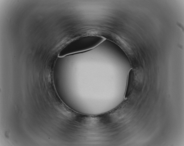 X0000097830313200803140834