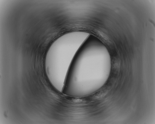 X0000097830315200803140834