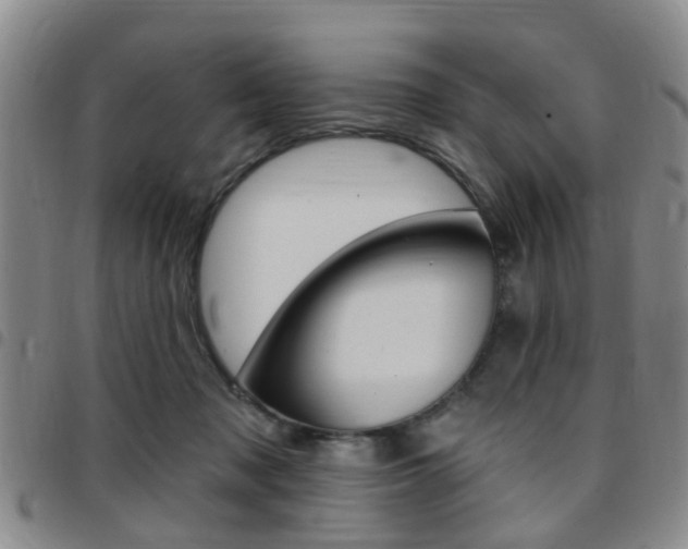 X0000097830317200803140834