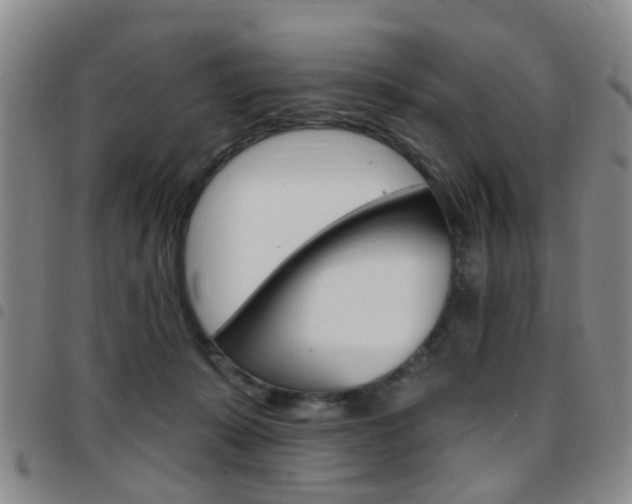 X0000097830319200803140834