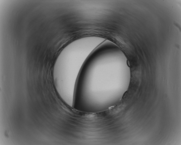 X0000097830325200803140834