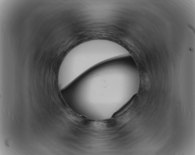 X0000097830327200803140834