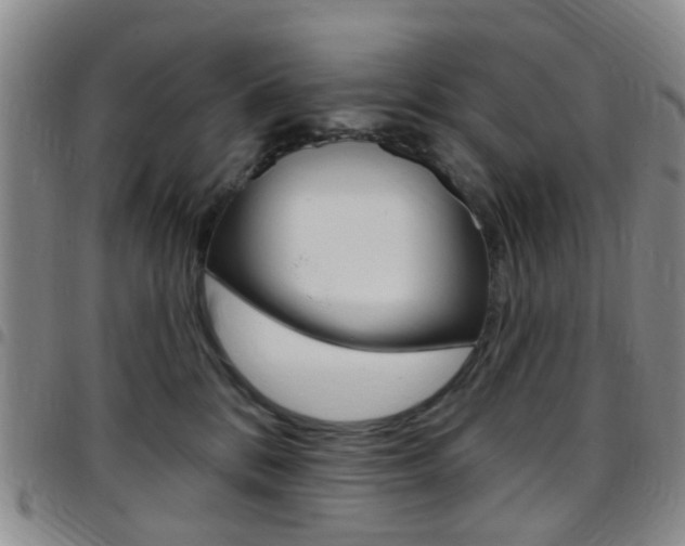 X0000097830328200803140834