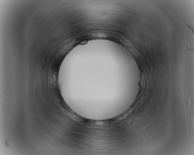 X0000097830330200803140834