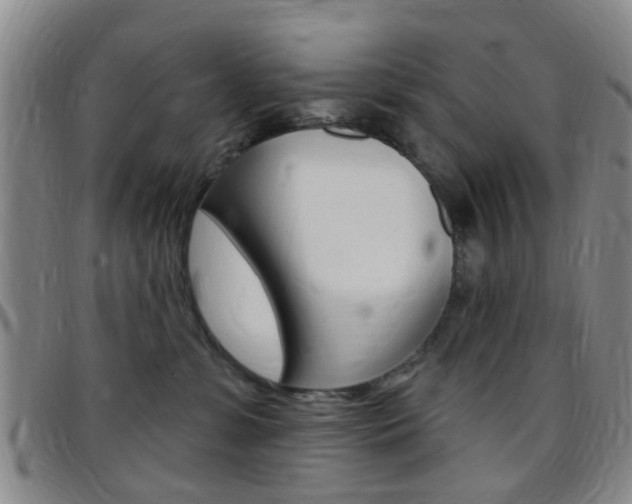 X0000097830331200803140834