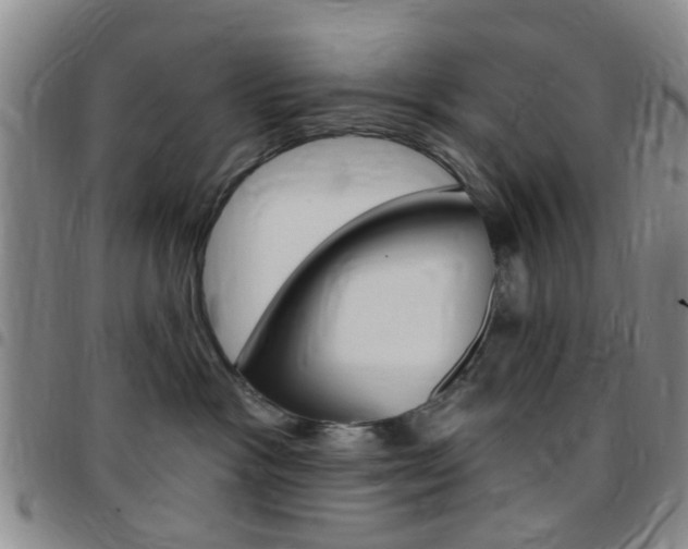 X0000097830333200803140834