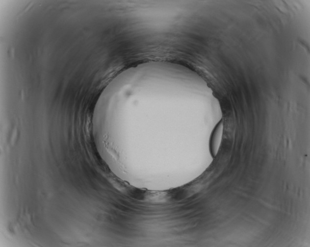X0000097830334200803140833