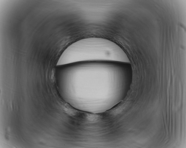 X0000097830336200803140833