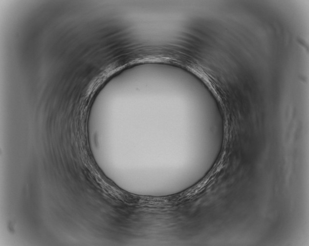 X0000097830337200803140833