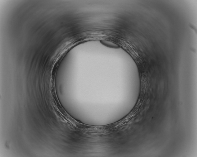 X0000097830338200803140833