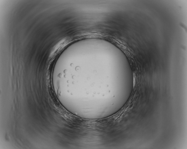 X0000097830339200803140833