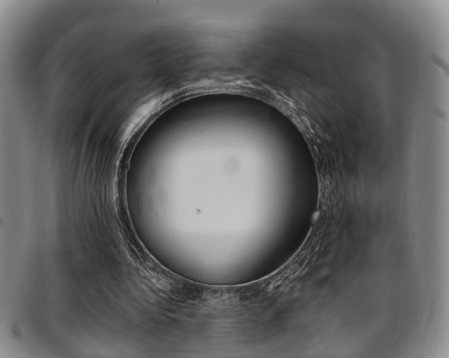 X0000097830340200803140833