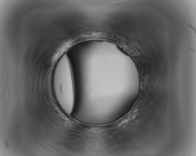 X0000097830341200803140833