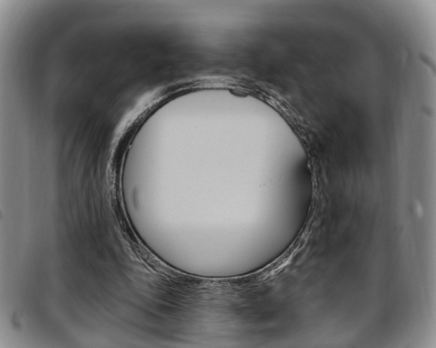 X0000097830343200803140833