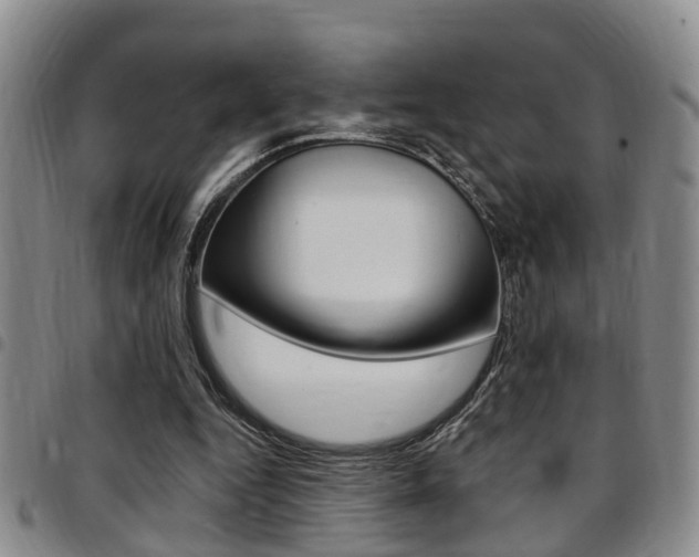 X0000097830344200803140833