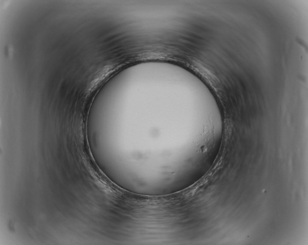 X0000097830345200803140833