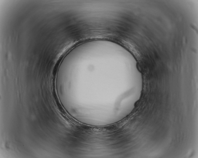 X0000097830346200803140833