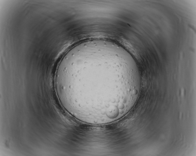 X0000097830347200803140833