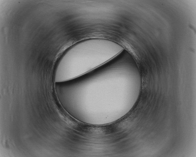 X0000097830349200803140833