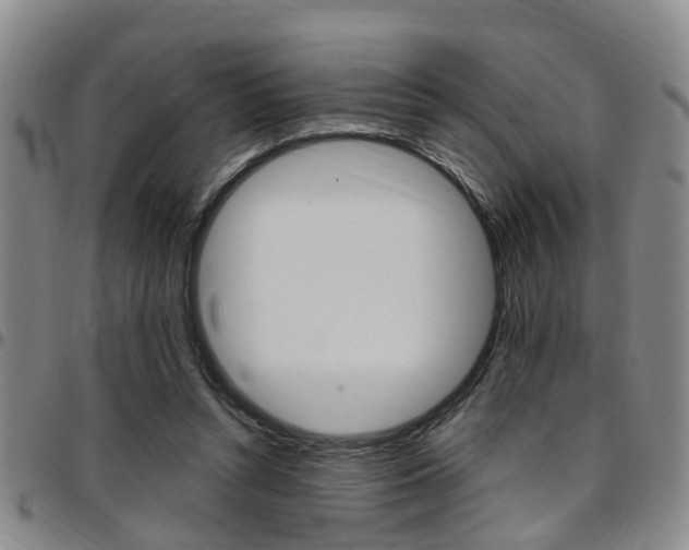 X0000097830352200803140833