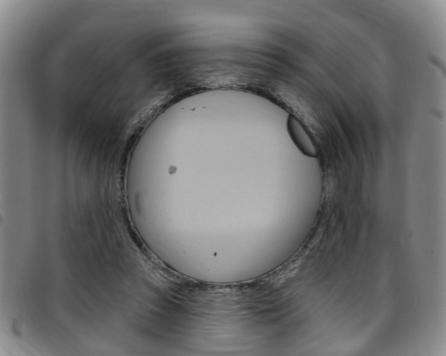 X0000097830353200803140833