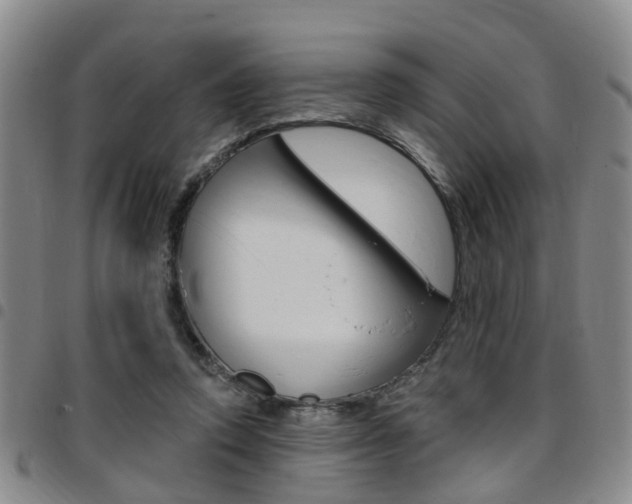 X0000097830354200803140833