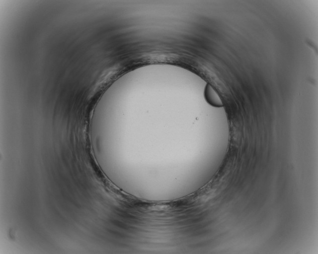 X0000097830357200803140833