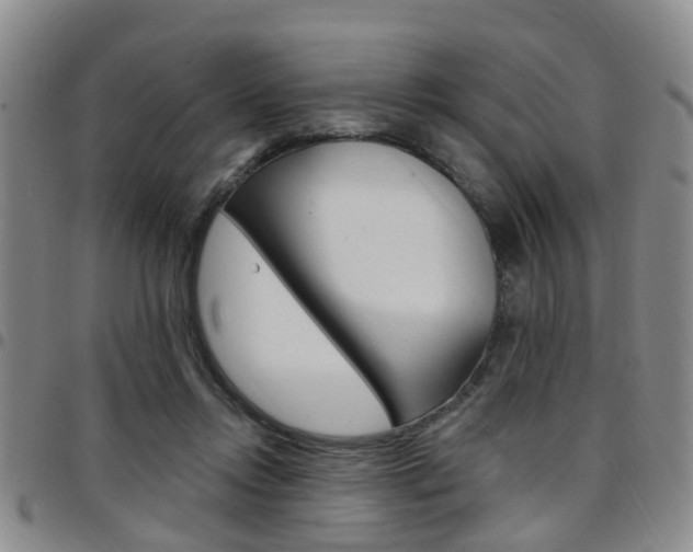 X0000097830358200803140833