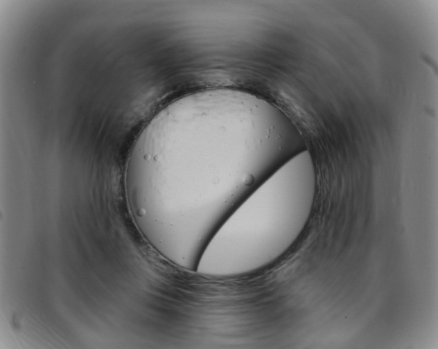 X0000097830359200803140833