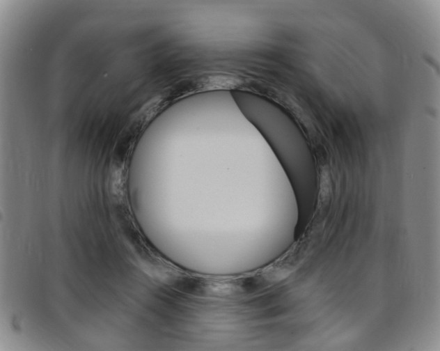 X0000097830360200803140833